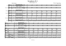 Symphony No.1 in E Flat Major, K.16: Movement I by Wolfgang Amadeus Mozart