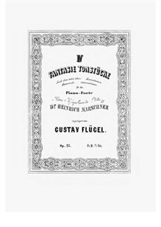 IV Fantasie Tonstücke, Op.25: No.2 Meeresstimmen by Gustav Flügel