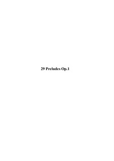 29 Preludes: 29 Preludes by Willy Piano Player