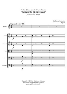 Serenade for Violin and Strings: Serenade for Violin and Strings by Willy Piano Player