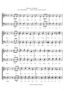 Winterreise, Nr.1-43, Op.23: Nr.42 Erstarrung by Werner Schneider-Wiegand