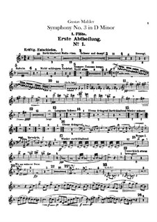 Symphony No.3 in D Minor: Flutes parts by Gustav Mahler
