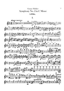 Symphony No.2 in C Minor 'Resurrection': Flutes parts by Gustav Mahler