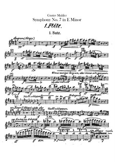 Symphony No.7 in E Minor: Flutes I, II parts by Gustav Mahler