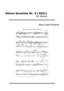 Little Sonatina No.5 (2021): Little Sonatina No.5 (2021) by Hans Josef Winkler