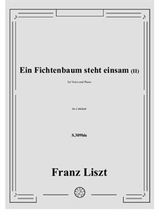 Ein Fichtenbaum steht einsam, S.309: Zweite Fassung by Franz Liszt