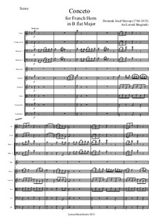 Concerto for French Horn in B flat Major  – Part 1: Concerto for French Horn in B flat Major  – Part 1 by Dominik Josef Skroup