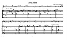 In the Bleak Midwinter: For medium-high voice and organ by Edward Lein