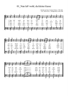 In der Ferne: For male choir by Friedrich Silcher
