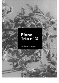 Piano Trio No.2: Piano Trio No.2 by Hudson Souza
