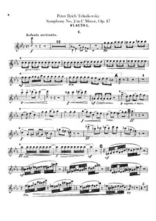 Complete set: Flutes parts by Pyotr Tchaikovsky