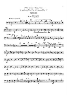 Complete set: Percussion parts by Pyotr Tchaikovsky
