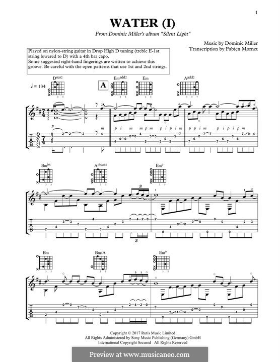 Water (I): Water (I) by Dominic Miller
