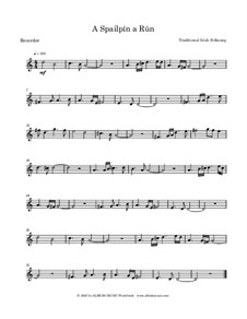 A Spailpin a Run: For recorder by Unknown (works before 1850)