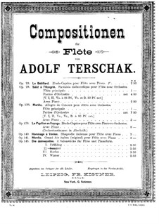 Die Jahreszeiten, Op.143: Sommer für Flöte und Klavier by Adolf Terschak