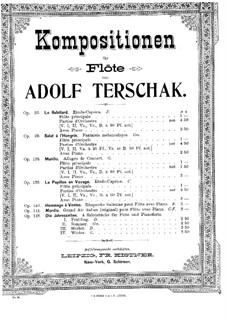 Die Jahreszeiten, Op.143: Winter für Flöte und Klavier by Adolf Terschak