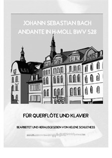 Trio Sonata No.4 in E Minor for Organ, BWV 528: Andante, for flute and piano by Johann Sebastian Bach