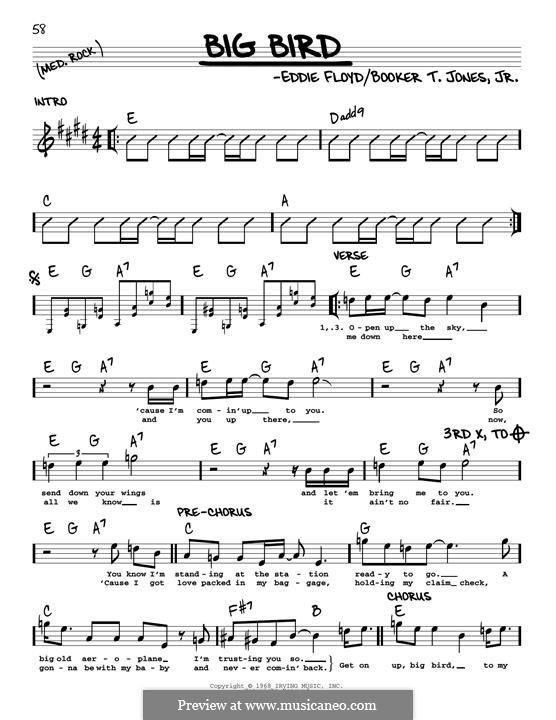 Big Bird by E. Floyd sheet music on MusicaNeo