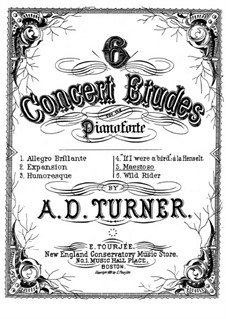 Six Concert Etudes: No.5 Maestoso by Alfred Dudley Turner