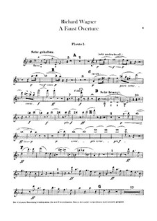 The Faust Overture, WWV 59: Flutes parts by Richard Wagner