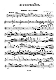 Concert Piece for Winds and Piano (or Orchestra), Op.41: Flute Part by Julius Rietz