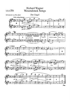 Complete set: For voice and orchestra – flutes part by Richard Wagner