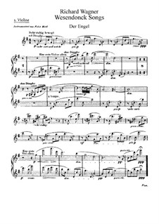 Complete set: For voice and orchestra – violins parts by Richard Wagner