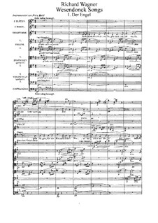 Complete set: For voice and orchestra by Richard Wagner