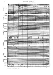 Plaudite tympana, C App. 106: Plaudite tympana by Heinrich Ignaz von Biber