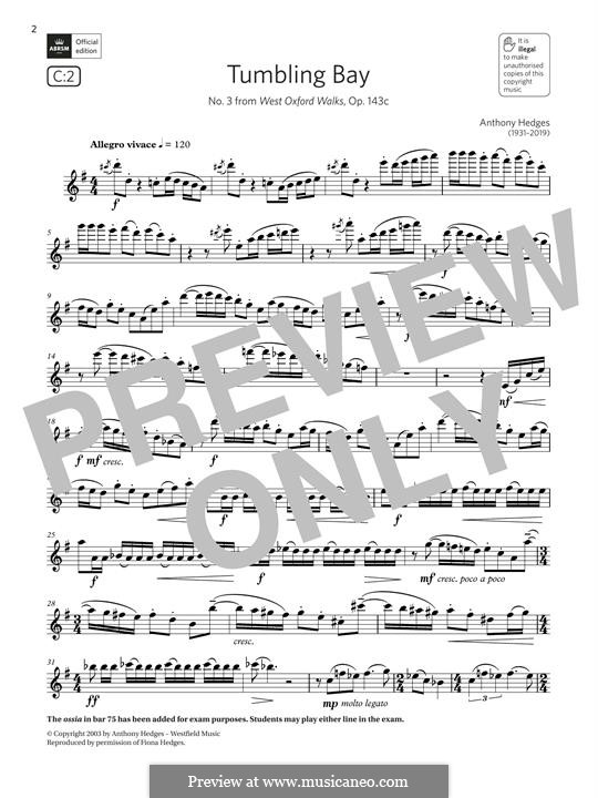 Tumbling Bay (from West Oxford Walks): Tumbling Bay (from West Oxford Walks) by Anthony Hedges