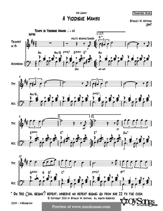 A Yiddishe Mambo: A Yiddishe Mambo by Stanley Hoffman