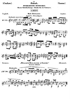 Kukuk. Musikalische Rundschau: Heft VIII by Johann Kaspar Mertz