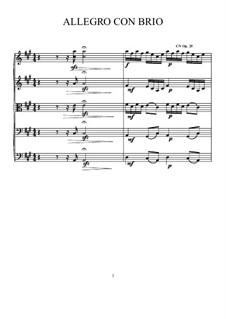 Allegro con brio, CN Op.25: Allegro con brio by Christopher Nicholls