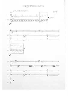 The Four Elements: The Four Elements by Marino Baldissera