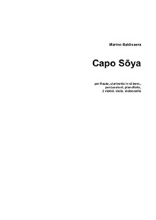 Capo Sōya: Capo Sōya by Marino Baldissera