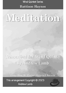 Meditation: For wind quintet by Walter Battison Haynes