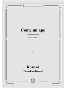 La Cenerentola (Cinderella): Come un ape by Gioacchino Rossini