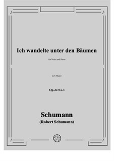 Circle of Songs, Op.24: No.3 Ich wandelte unter den Bäumen in C Major by Robert Schumann