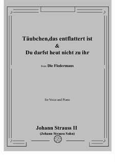 Die Fledermaus (The Bat): Täubchen, das entflattert ist (No.1 Introduction) - Du darfst heut nicht zu ihr (No.1a) by Johann Strauss (Sohn)