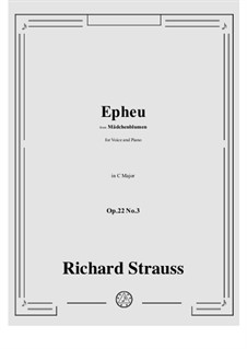 Mädchenblumen, Op.22: No.3 Epheu in C Major by Richard Strauss