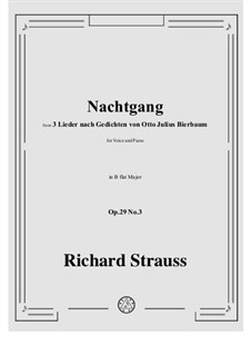 No.3 Nachtgang: B flat Major by Richard Strauss