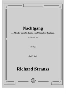 No.3 Nachtgang: B Major by Richard Strauss