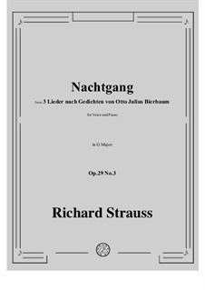 No.3 Nachtgang: G Major by Richard Strauss