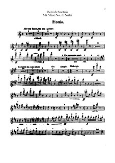 Šarka, T.113: Flutes parts by Bedřich Smetana