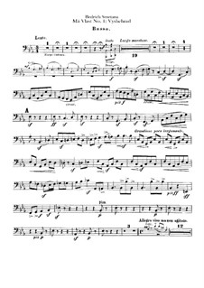 Vyšehrad, T.110: Double bass part by Bedřich Smetana