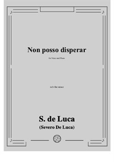 Non posso disperar: B flat minor by Sergio de Luca