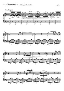 Piano version: For a single performer by Franz Schubert