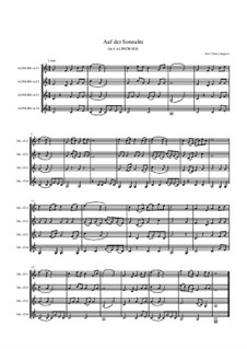 Auf der Sonnalm Alph.: Auf der Sonnalm Alph. by Dieter Angerer