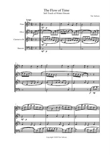 The Flow of Time: The Flow of Time by Tim Yarham