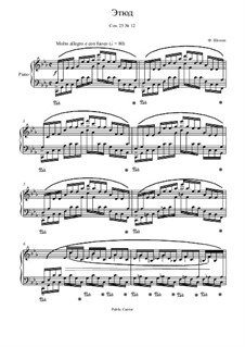 No.12 in C Minor: For piano by Frédéric Chopin